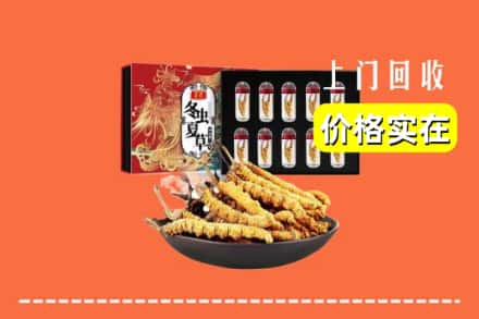 米林县回收冬虫夏草