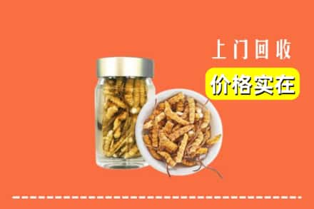 诚信求购:米林县高价回收散虫草