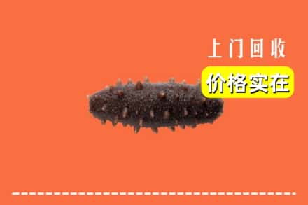 诚信求购:米林县高价回收海参