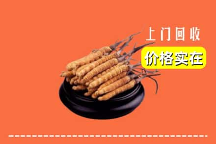 诚信求购:米林县高价回收冬虫夏草
